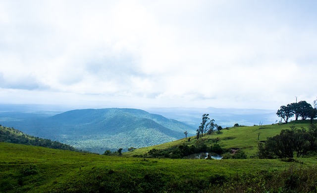 则为这一耀 则为这一耀