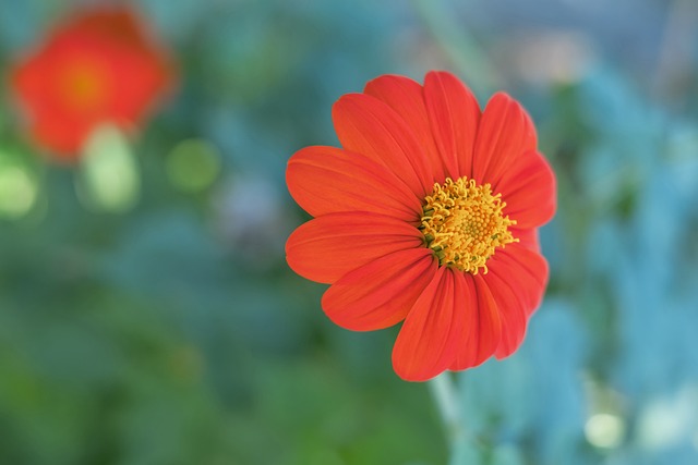 此时选择离 此时选择离