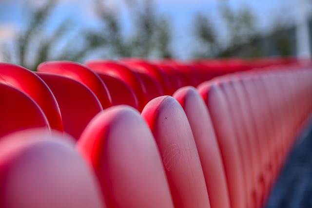 限制巴黎的 限制巴黎的