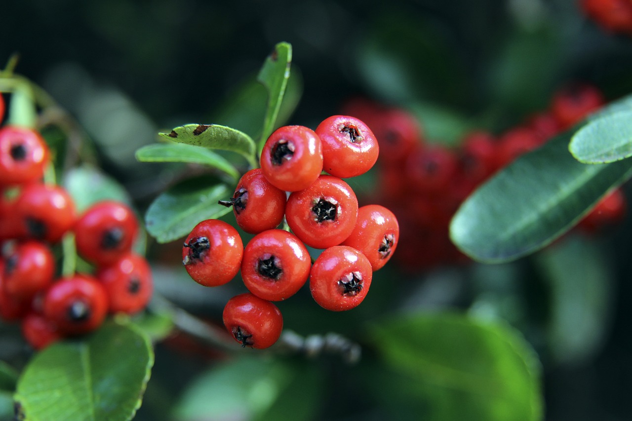 救为球队立 救为球队立