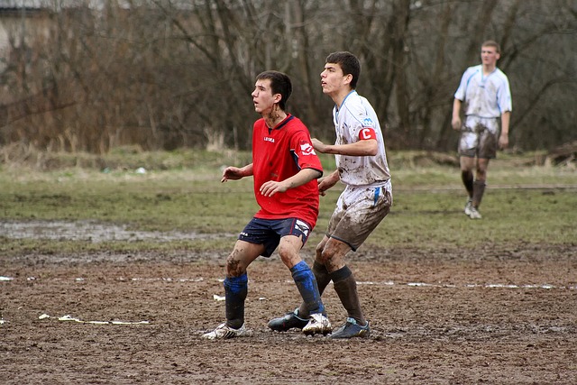 国足新帅扬科维奇有望3月1日亮相，郑智陈涛将进教练组.