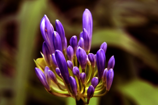 同时给了对 同时给了对