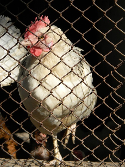 团队协作 团队协作