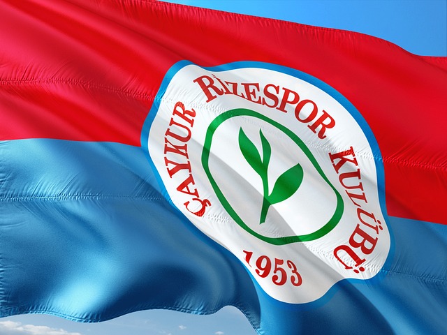 有效的进攻 有效的进攻