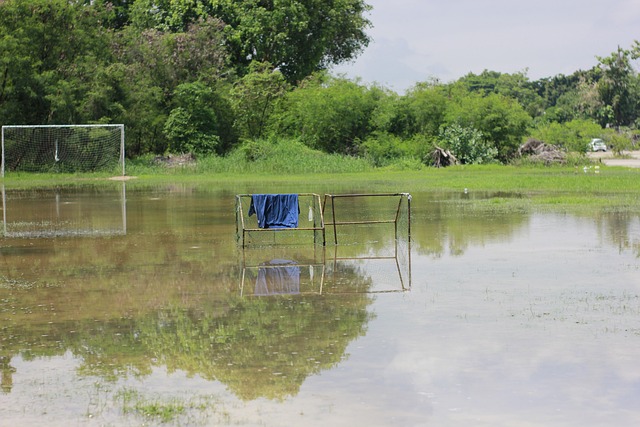 综上所述 综上所述